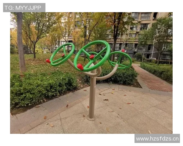 户外健身器材政府申请流程及公益项目方案 户外健身器材政府申请流程及公益项目方案